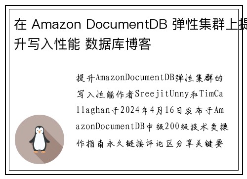 在 Amazon DocumentDB 弹性集群上提升写入性能 数据库博客